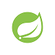 Spring Boot