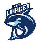Champion Killer Whales