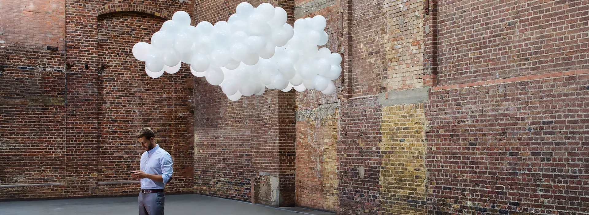 sundew