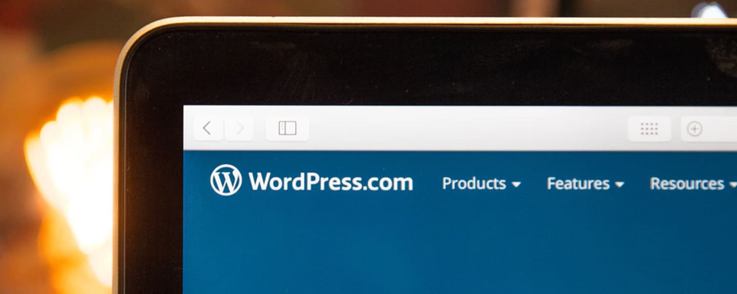 A Few Merits & Demerits of WordPress for Your Business
