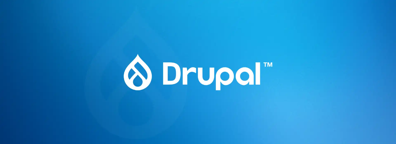 How to Install Drupal on Windows Using DDEV?