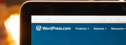 A Few Merits & Demerits of WordPress for Your Business