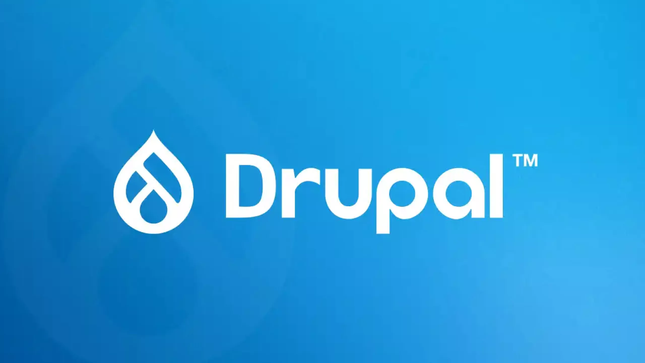 How to Install Drupal on Windows Using DDEV?